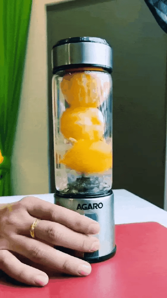 Mini Portable Juicer Bottle Blender(ST-101)